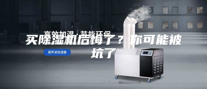 买除湿机后悔了？你可能被坑了
