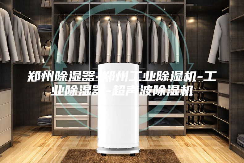 郑州除湿器-郑州工业除湿机-工业除湿器-超声波除湿机