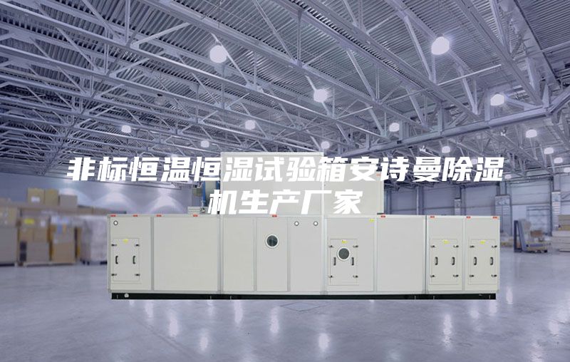 非标恒温恒湿试验箱安诗曼除湿机生产厂家