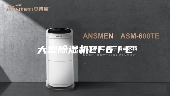 大型除湿机CF6／C