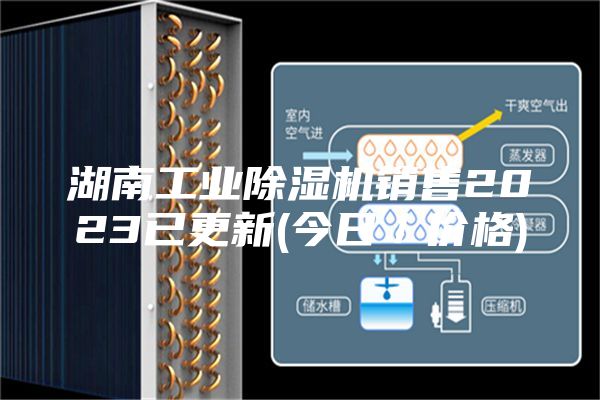 湖南工业除湿机销售2023已更新(今日／价格)