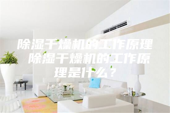 除湿干燥机的工作原理 除湿干燥机的工作原理是什么？