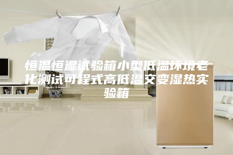 恒温恒湿试验箱小型低温环境老化测试可程式高低温交变湿热实验箱