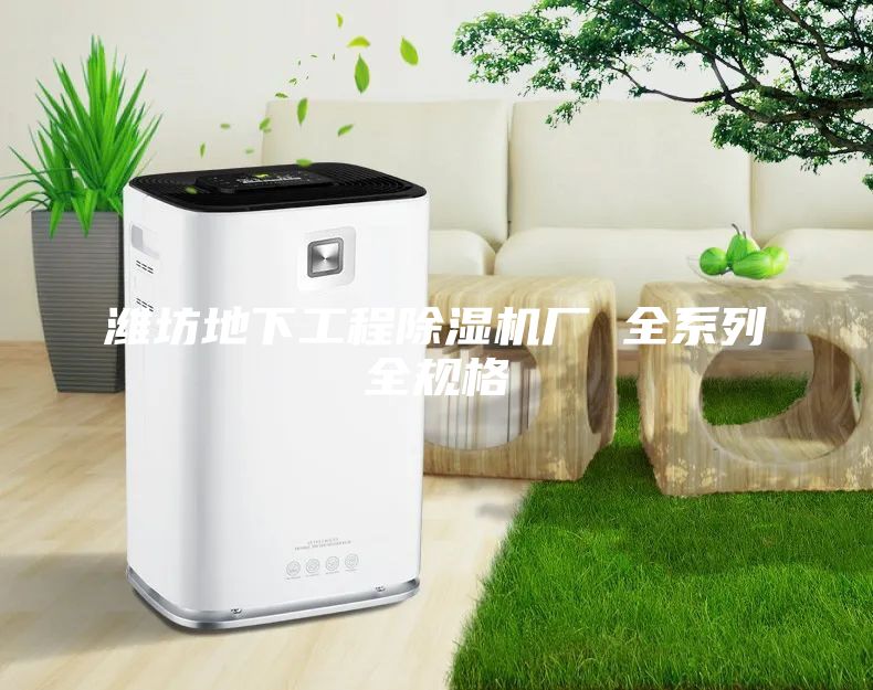 潍坊地下工程除湿机厂 全系列全规格