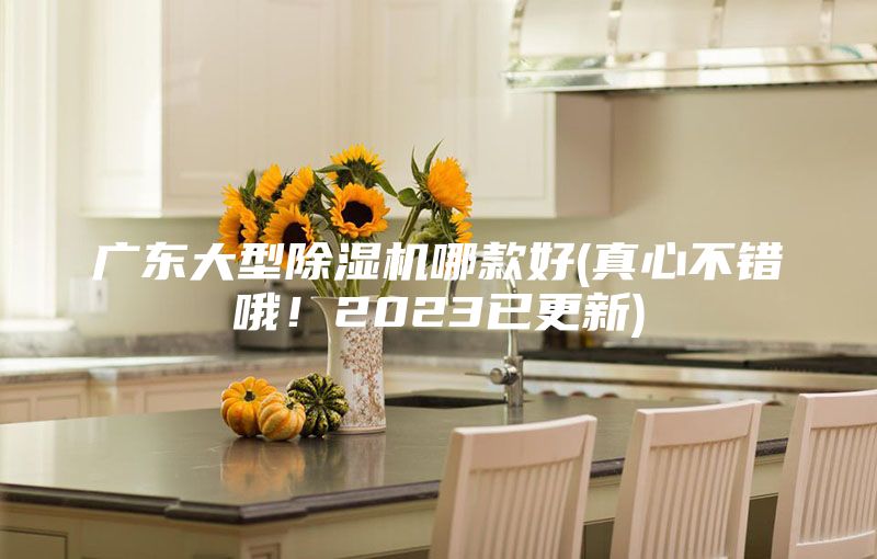 广东大型除湿机哪款好(真心不错哦！2023已更新)