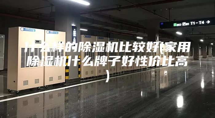 什么样的除湿机比较好(家用除湿机什么牌子好性价比高)