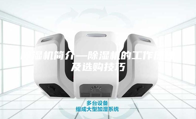 除湿机简介—除湿机的工作原理及选购技巧