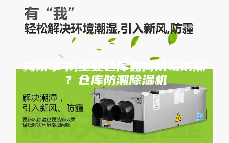 梅雨季节,工业仓库如何防霉防潮？仓库防潮除湿机