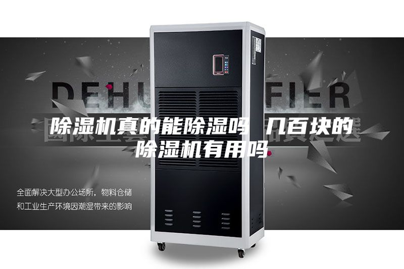 除湿机真的能除湿吗 几百块的除湿机有用吗