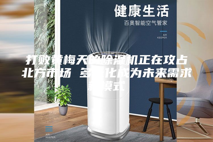 打败黄梅天的除湿机正在攻占北方市场 多元化成为未来需求新模式