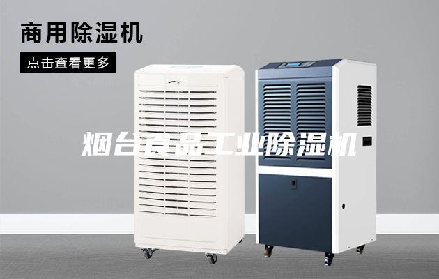 烟台食品工业除湿机