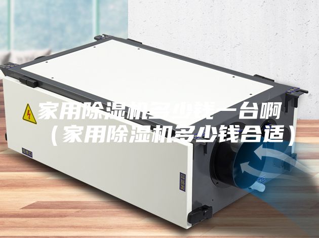 家用除湿机多少钱一台啊（家用除湿机多少钱合适）