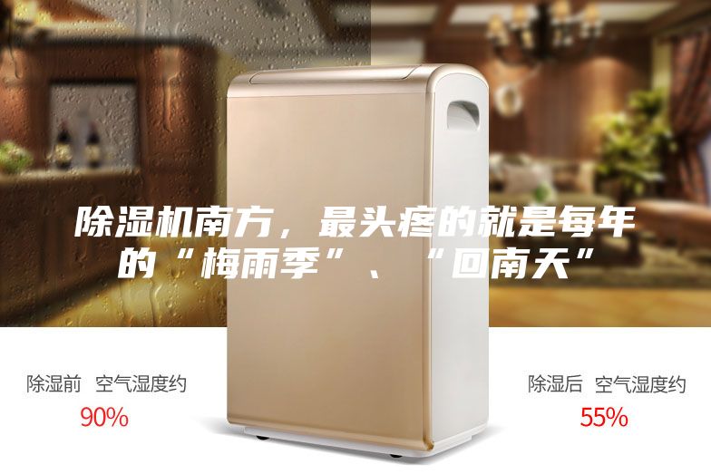 除湿机南方，最头疼的就是每年的“梅雨季”、“回南天”