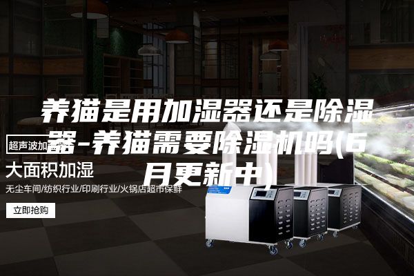 养猫是用加湿器还是除湿器-养猫需要除湿机吗(6月更新中)