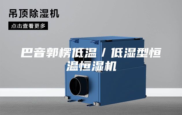 巴音郭楞低温／低湿型恒温恒湿机
