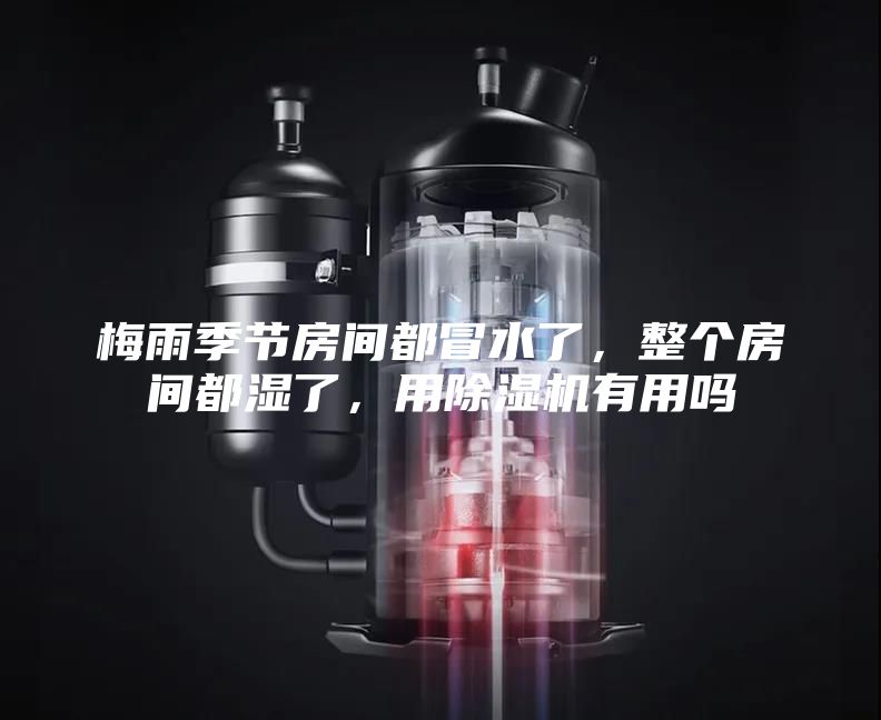 梅雨季节房间都冒水了，整个房间都湿了，用除湿机有用吗