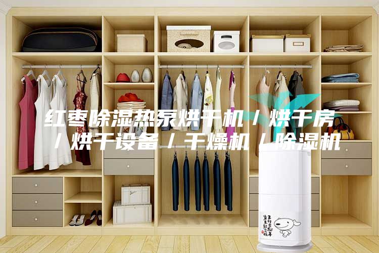 红枣除湿热泵烘干机／烘干房／烘干设备／干燥机／除湿机