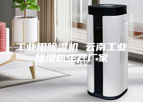 工业用除湿机 云南工业除湿机生产厂家