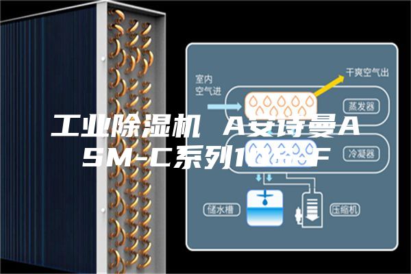 工业除湿机 A安诗曼ASM-C系列10S-F