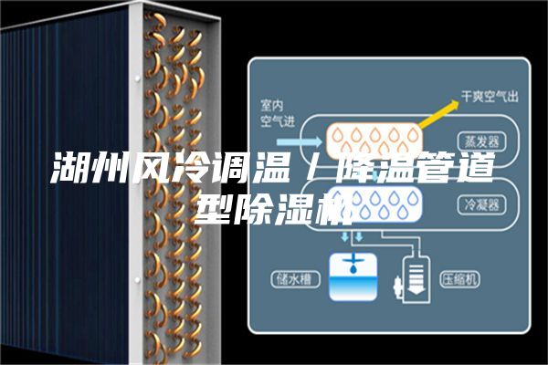 湖州风冷调温／降温管道型除湿机