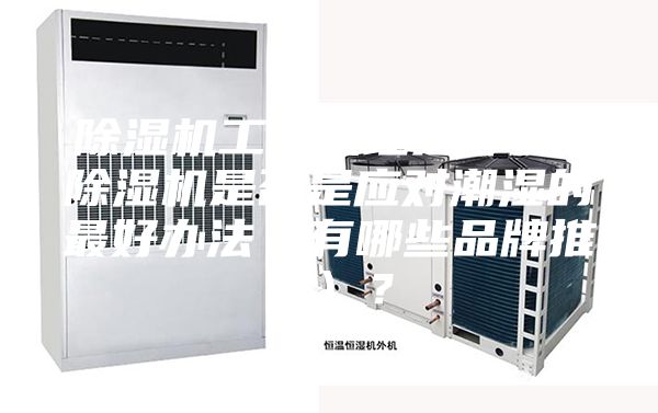 除湿机工作原理是什么？除湿机是否是应对潮湿的最好办法（有哪些品牌推荐）？