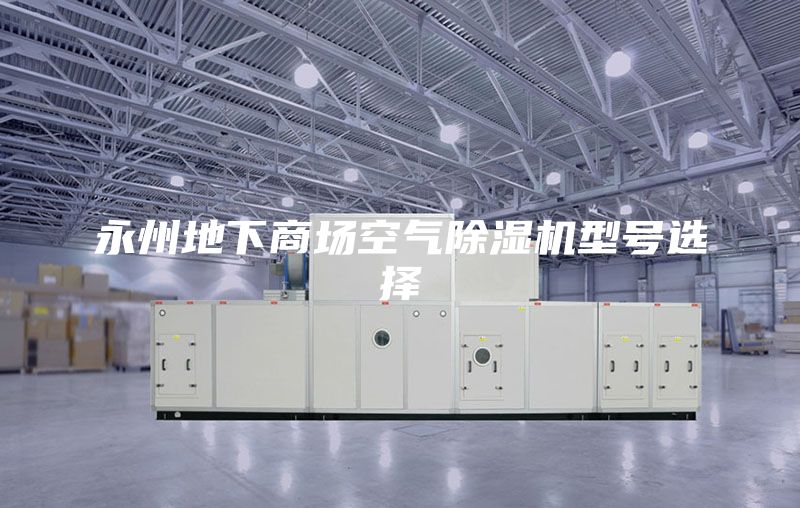 永州地下商场空气除湿机型号选择