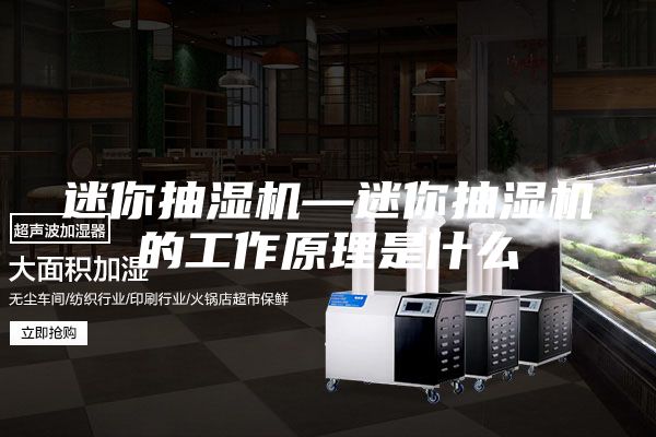 迷你抽湿机—迷你抽湿机的工作原理是什么
