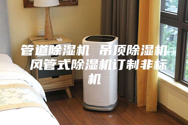 管道除湿机 吊顶除湿机 风管式除湿机订制非标机