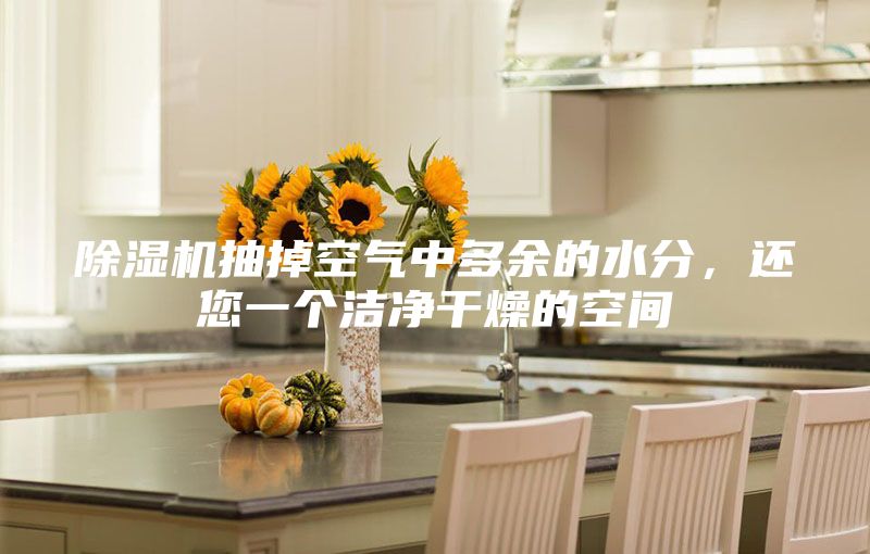 除湿机抽掉空气中多余的水分，还您一个洁净干燥的空间