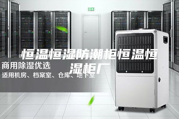 恒温恒湿防潮柜恒温恒湿柜厂