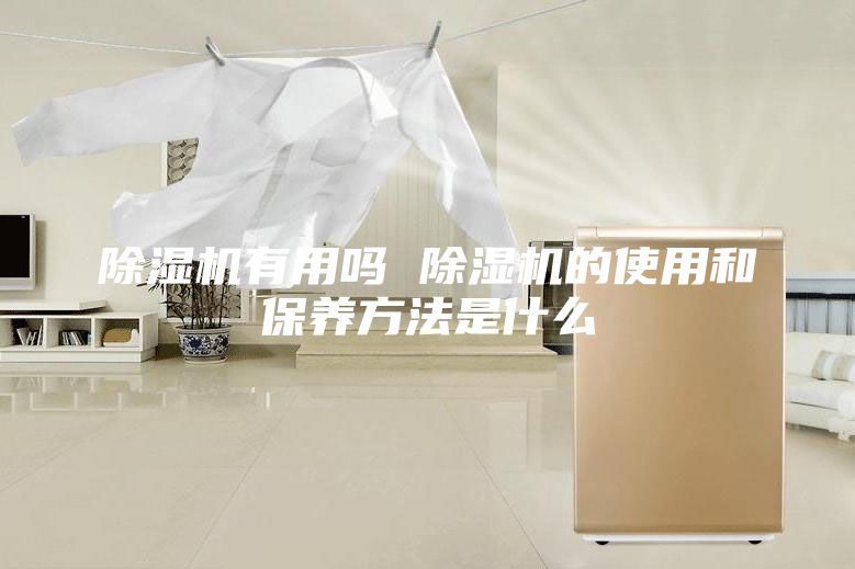 除湿机有用吗 除湿机的使用和保养方法是什么