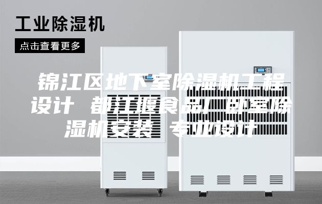 锦江区地下室除湿机工程设计 都江堰食品厂卧室除湿机安装 专业设计