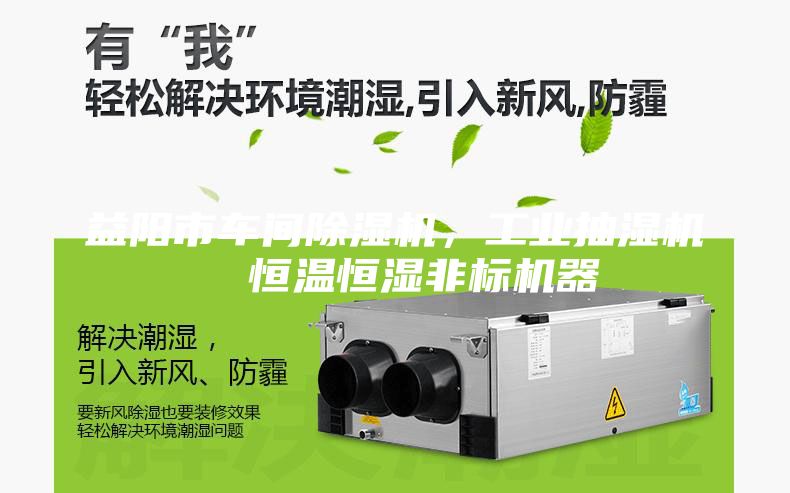 益阳市车间除湿机，工业抽湿机  恒温恒湿非标机器