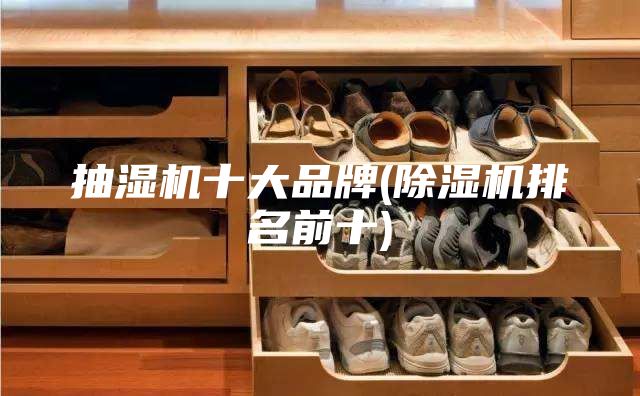 抽湿机十大品牌(除湿机排名前十)