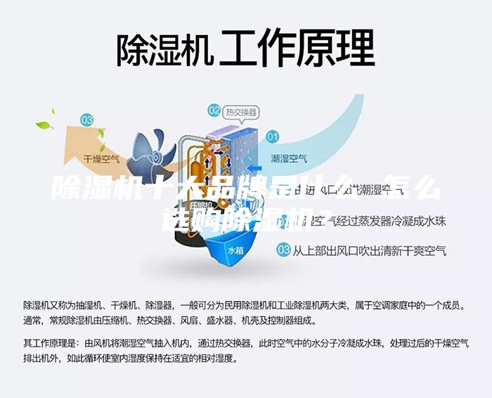 除湿机十大品牌是什么 怎么选购除湿机？