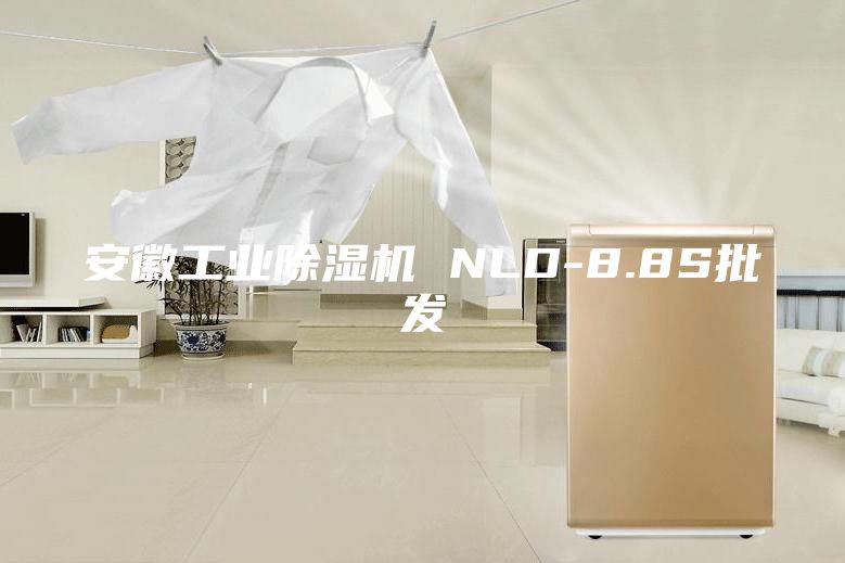 安徽工业除湿机 NLD-8.8S批发