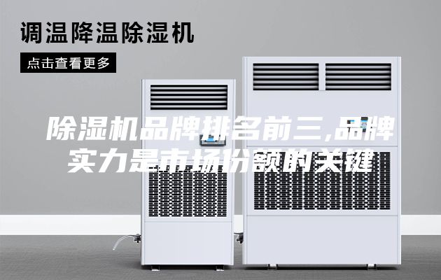 除湿机品牌排名前三,品牌实力是市场份额的关键