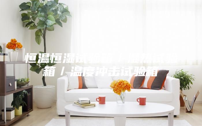 恒温恒湿试验箱／湿热试验箱／温度冲击试验箱