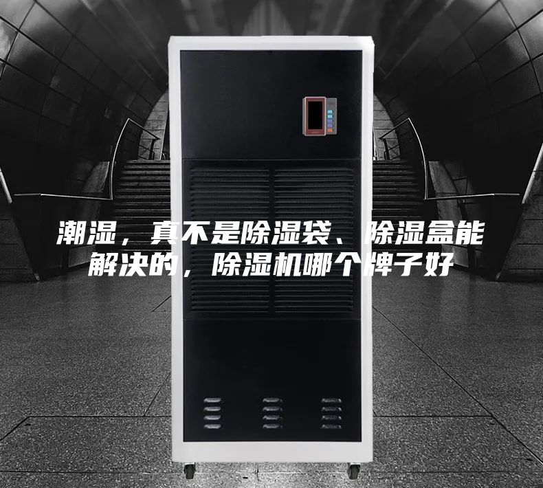 潮湿，真不是除湿袋、除湿盒能解决的，除湿机哪个牌子好
