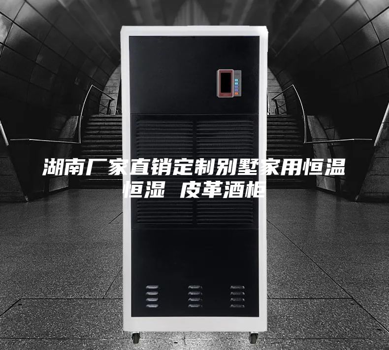 湖南厂家直销定制别墅家用恒温恒湿 皮革酒柜