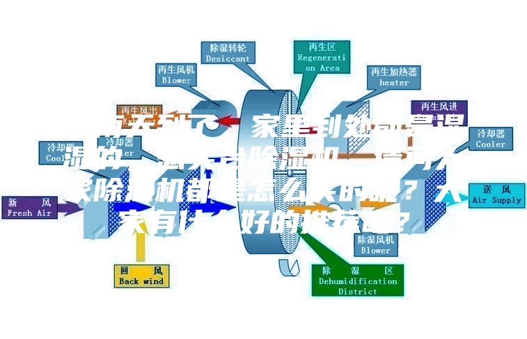 回南天到了，家里到处都是湿湿的，想买台除湿机，请问大家除湿机都是怎么买的呢？大家有什么好的推荐吗？