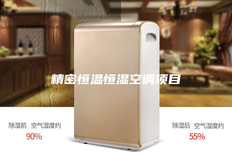 精密恒温恒湿空调项目