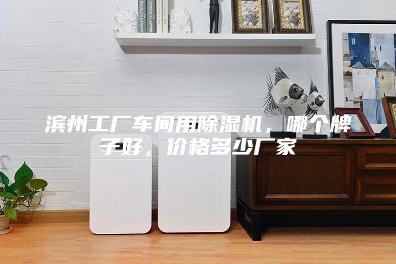 滨州工厂车间用除湿机，哪个牌子好，价格多少厂家