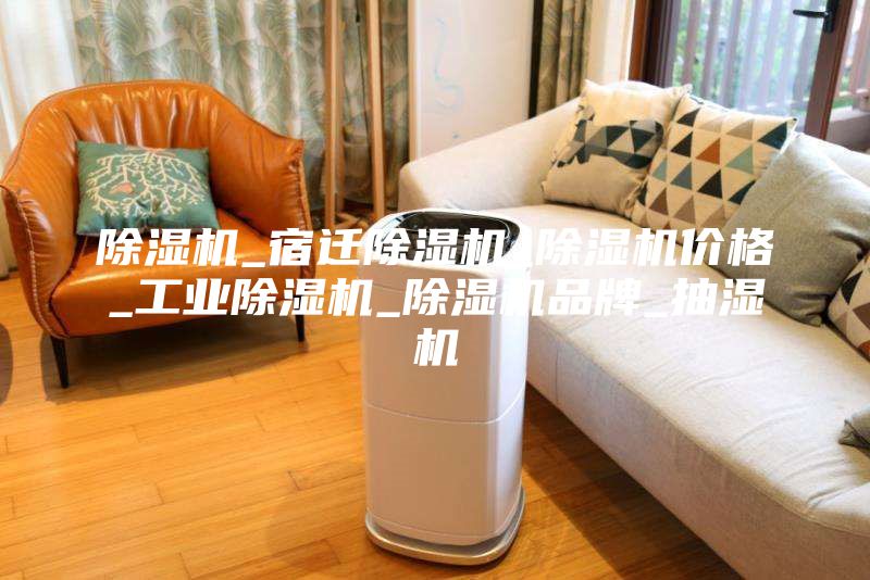 除湿机_宿迁除湿机_除湿机价格_工业除湿机_除湿机品牌_抽湿机