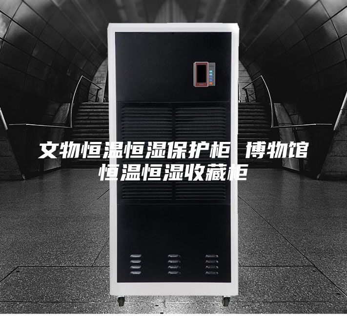 文物恒温恒湿保护柜 博物馆恒温恒湿收藏柜