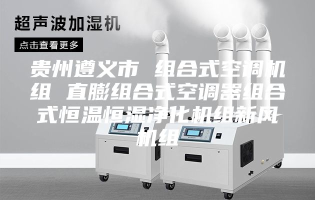 贵州遵义市 组合式空调机组 直膨组合式空调器组合式恒温恒湿净化机组新风机组
