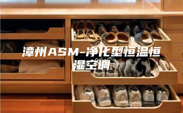 漳州ASM-净化型恒温恒湿空调