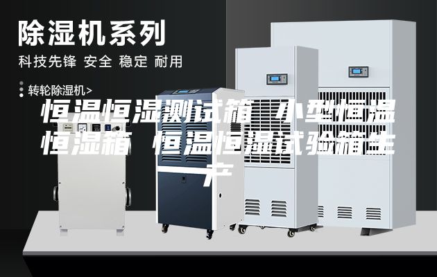 恒温恒湿测试箱 小型恒温恒湿箱 恒温恒湿试验箱生产