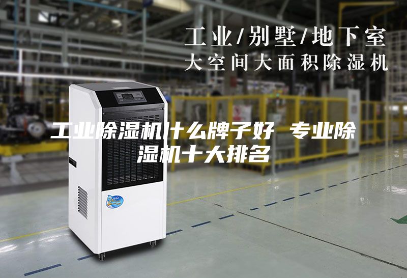 工业除湿机什么牌子好 专业除湿机十大排名