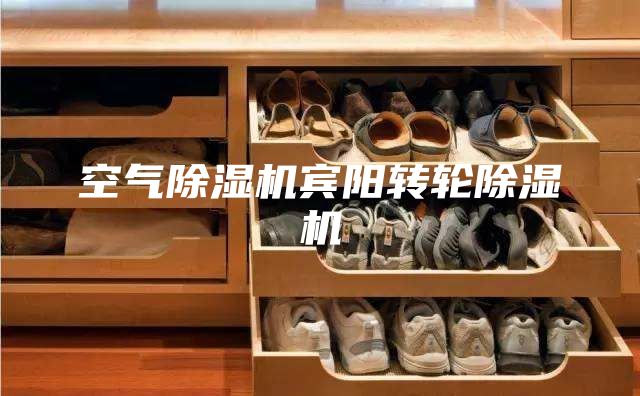 空气除湿机宾阳转轮除湿机